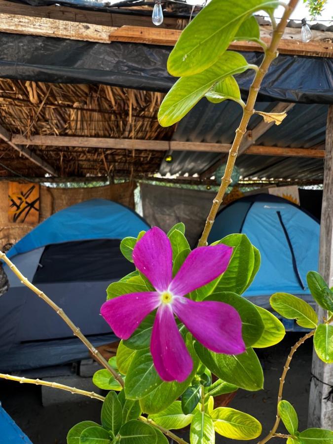Casa De Los Santos Camping Y Eco Cabanas Isla Holbox Exterior foto